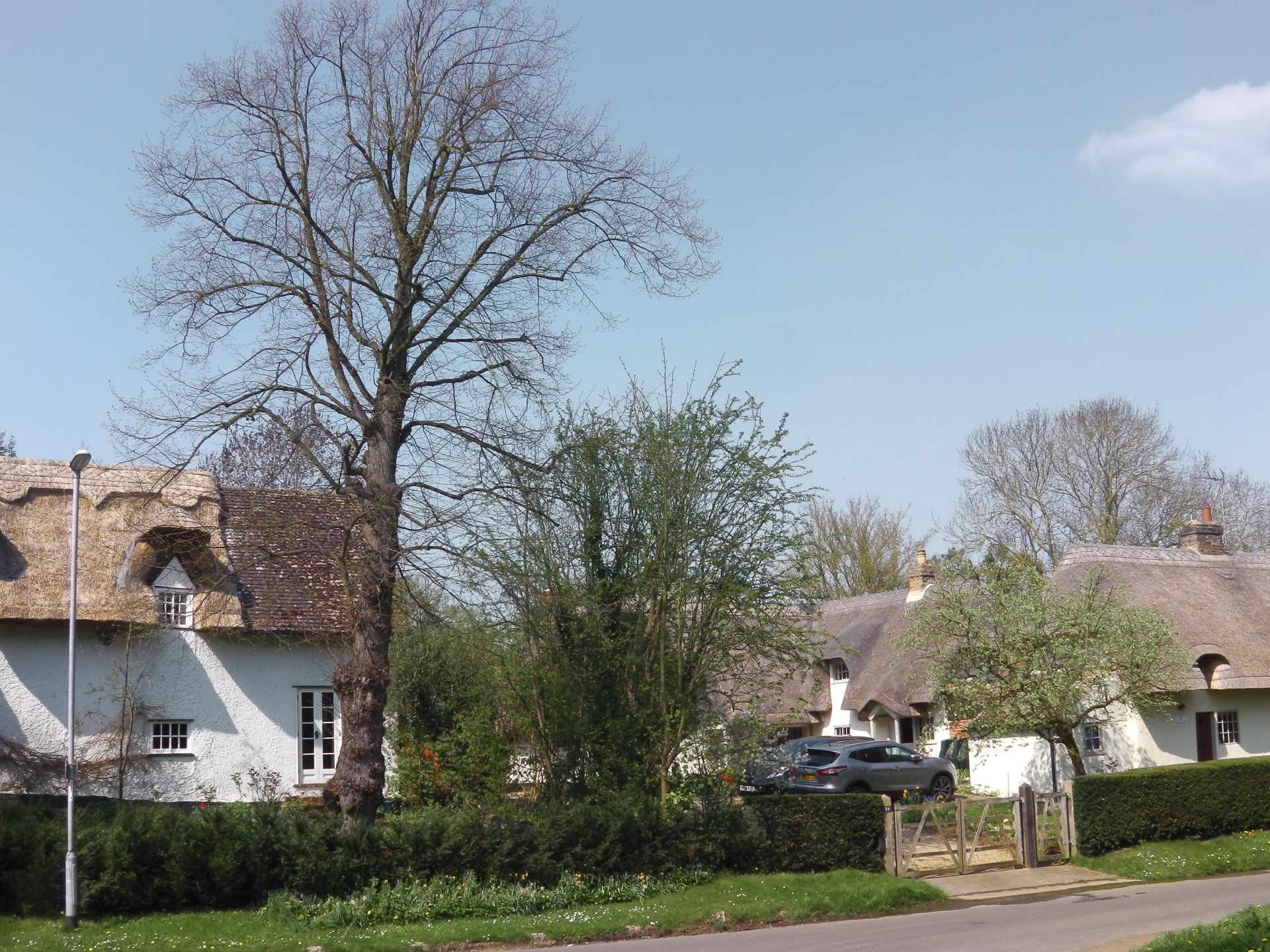 thatched cottages in Bourn